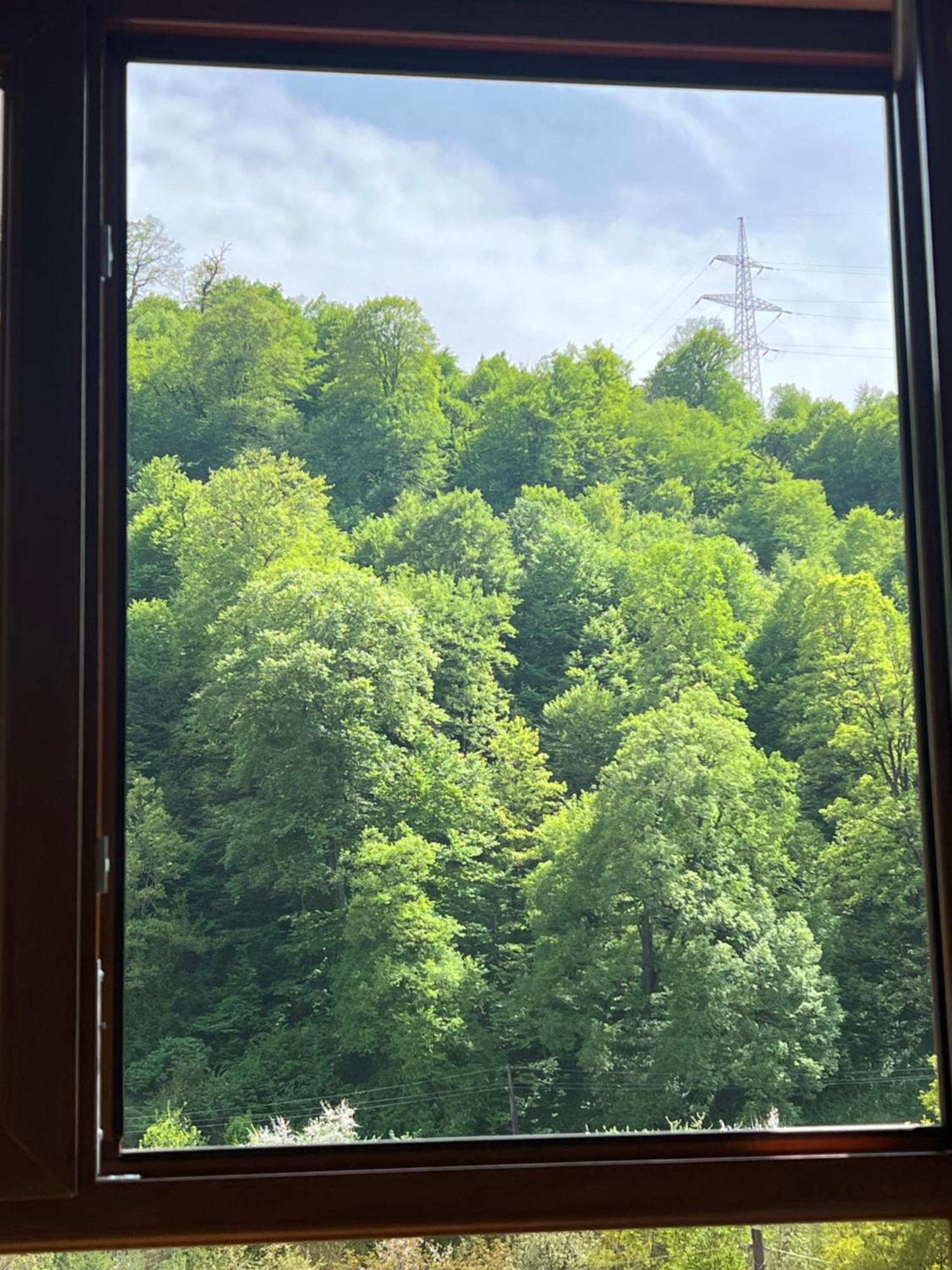 Maru House Hotel Dilijan Eksteriør billede